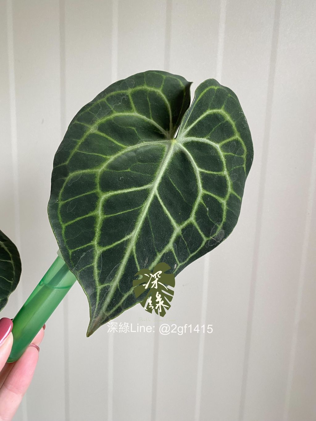 8D701ABB-19E5-4C53-B87E-993DA01007B2