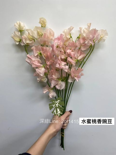 messageImage_1734528997482