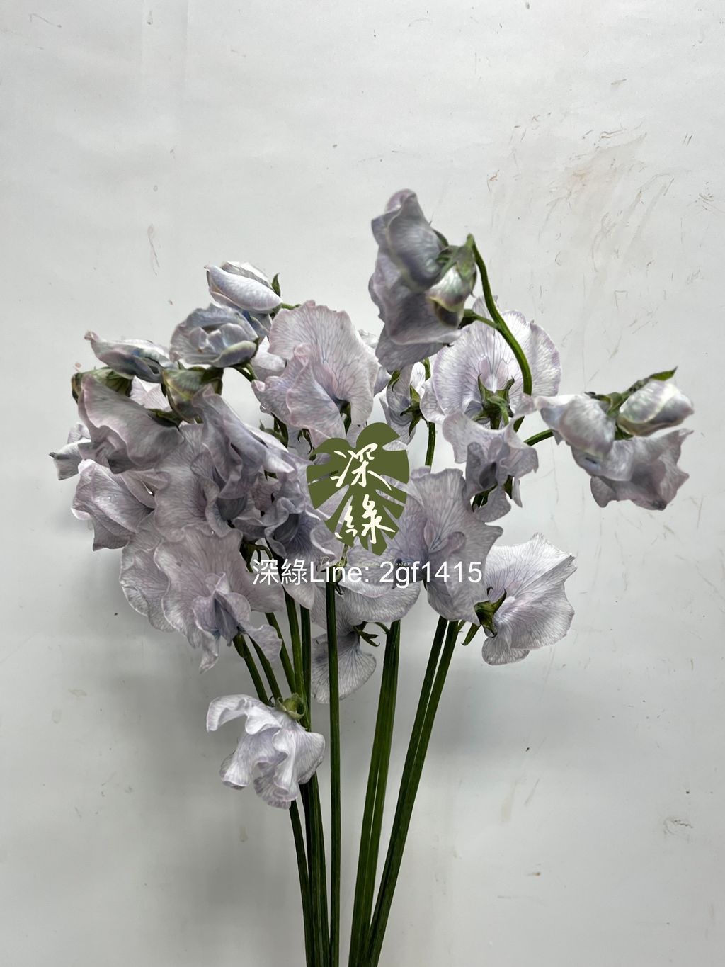 IMG_1778-1734583446985