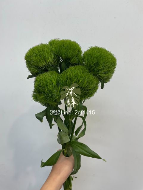 eZy Watermark_20-12-2024_10-40-57-4230上午-1734662466782