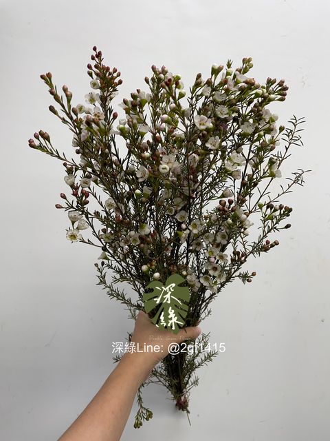 eZy Watermark_20-12-2024_12-36-41-2820下午-1734669756350