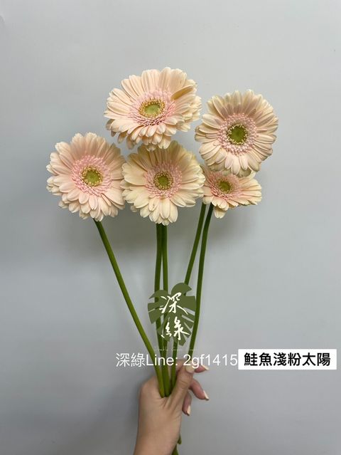 d575d4f696de84e7bf6c1a4224292f0eb24aee82