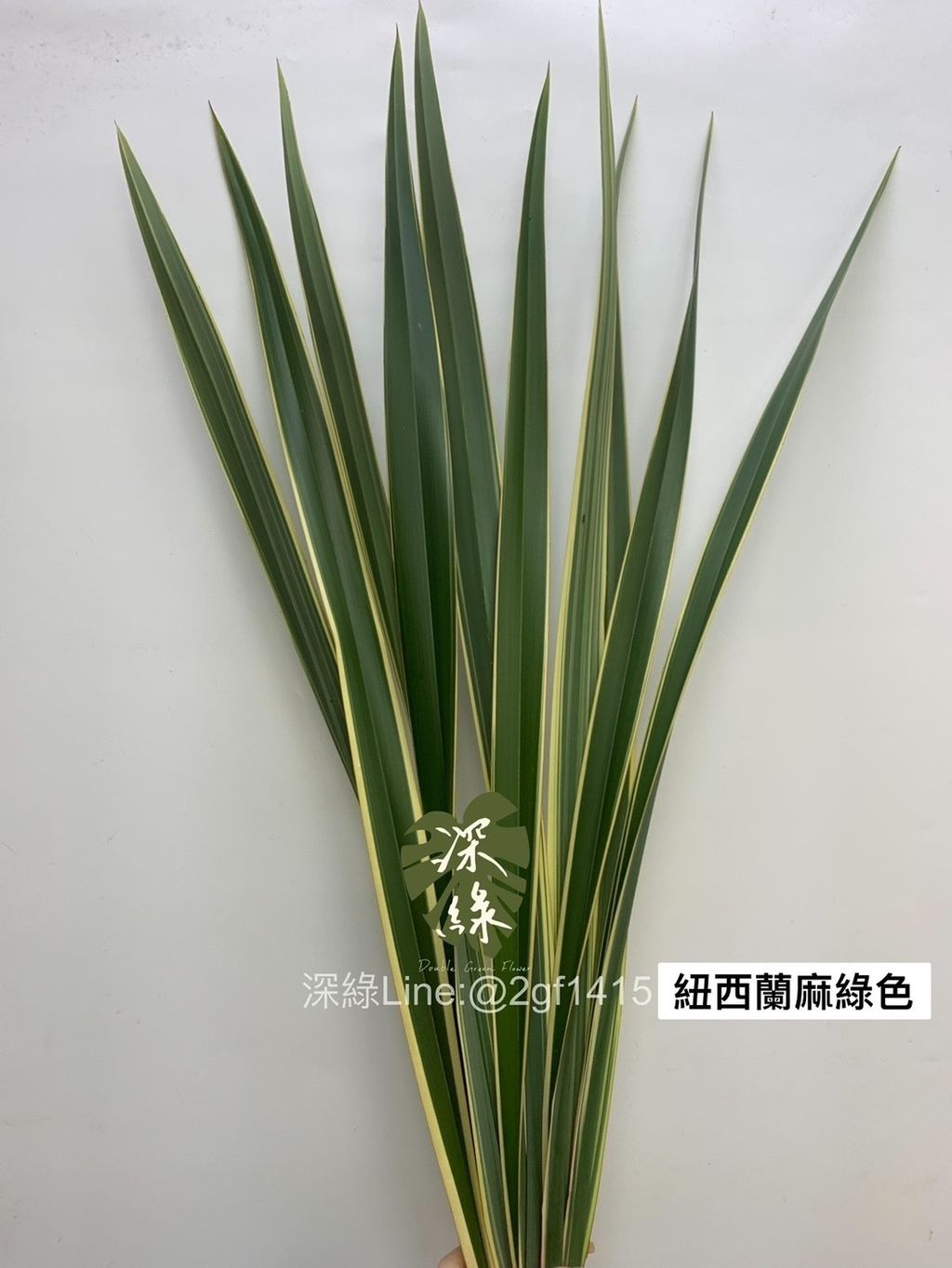 S__3367153