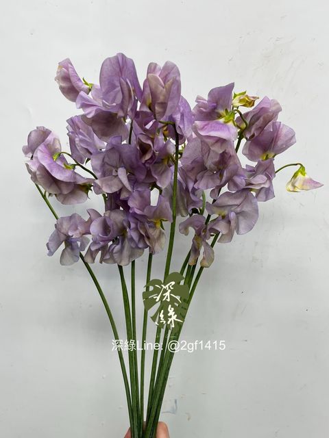 IMG_1904-1734929838350