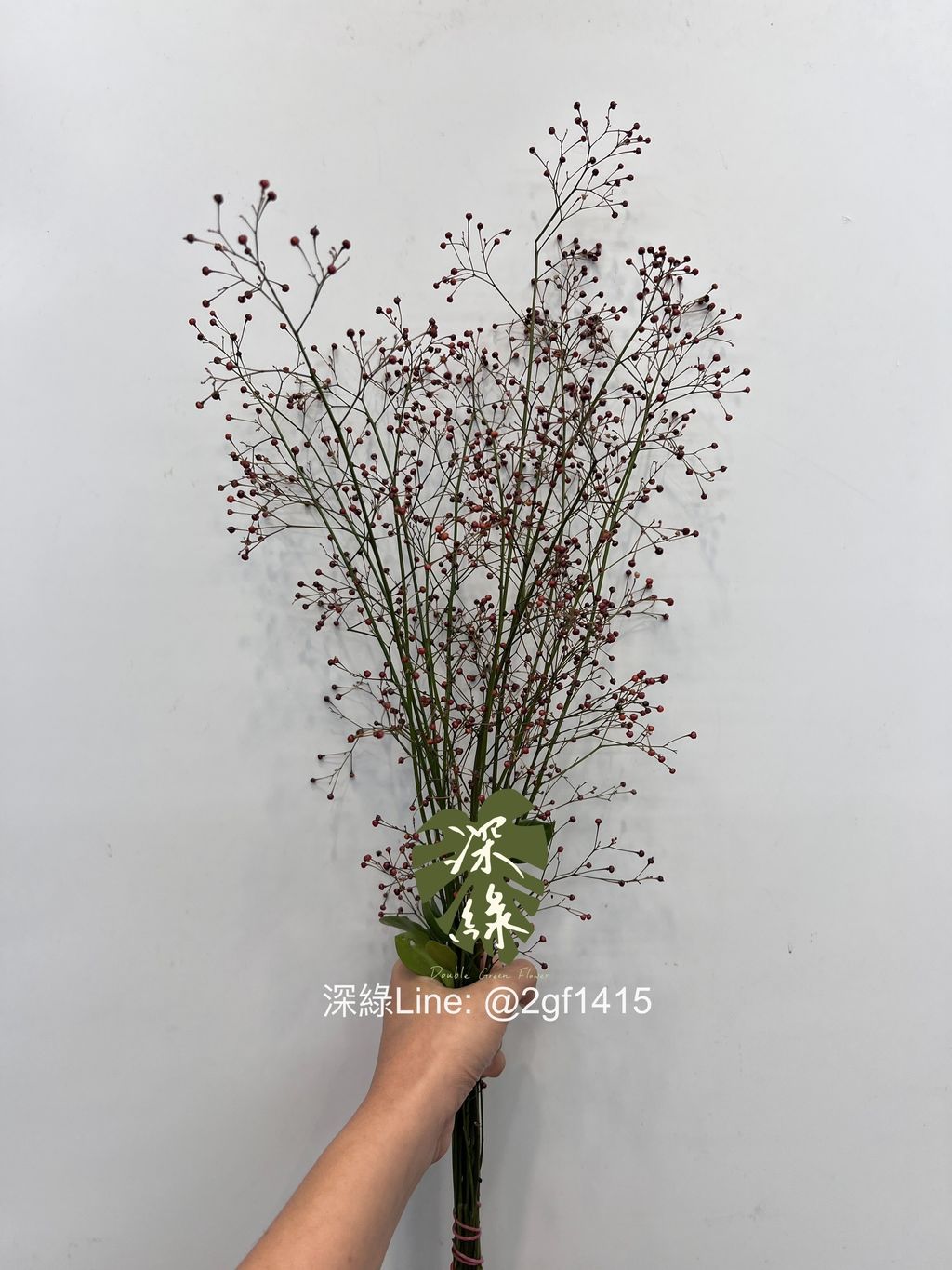 S__6881355_0