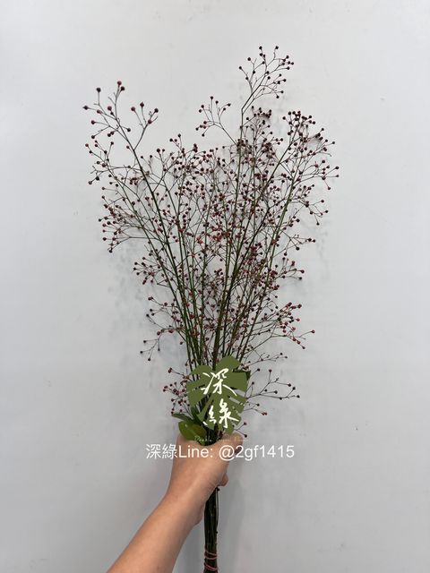 S__6881355_0