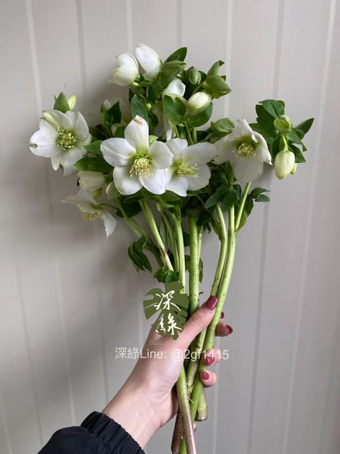 eZy Watermark_24-12-2024_06-07-15-6220下午-1735035377463