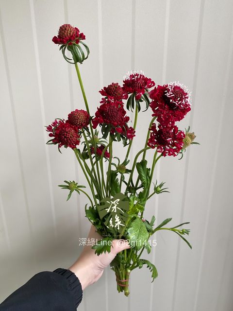 eZy Watermark_24-12-2024_06-07-13-7720下午-1735035718307