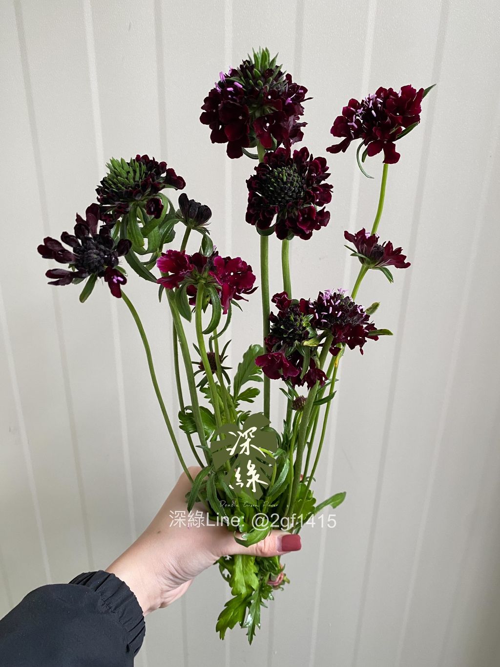 eZy Watermark_24-12-2024_06-07-09-2660下午-1735035737776