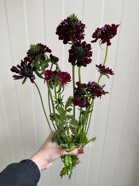 eZy Watermark_24-12-2024_06-07-09-2660下午-1735035737776