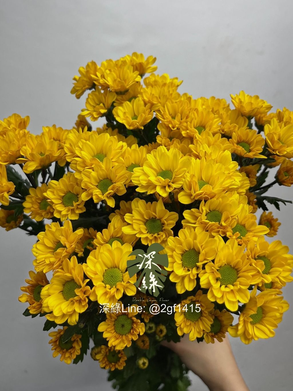 IMG_1633-1735191076347