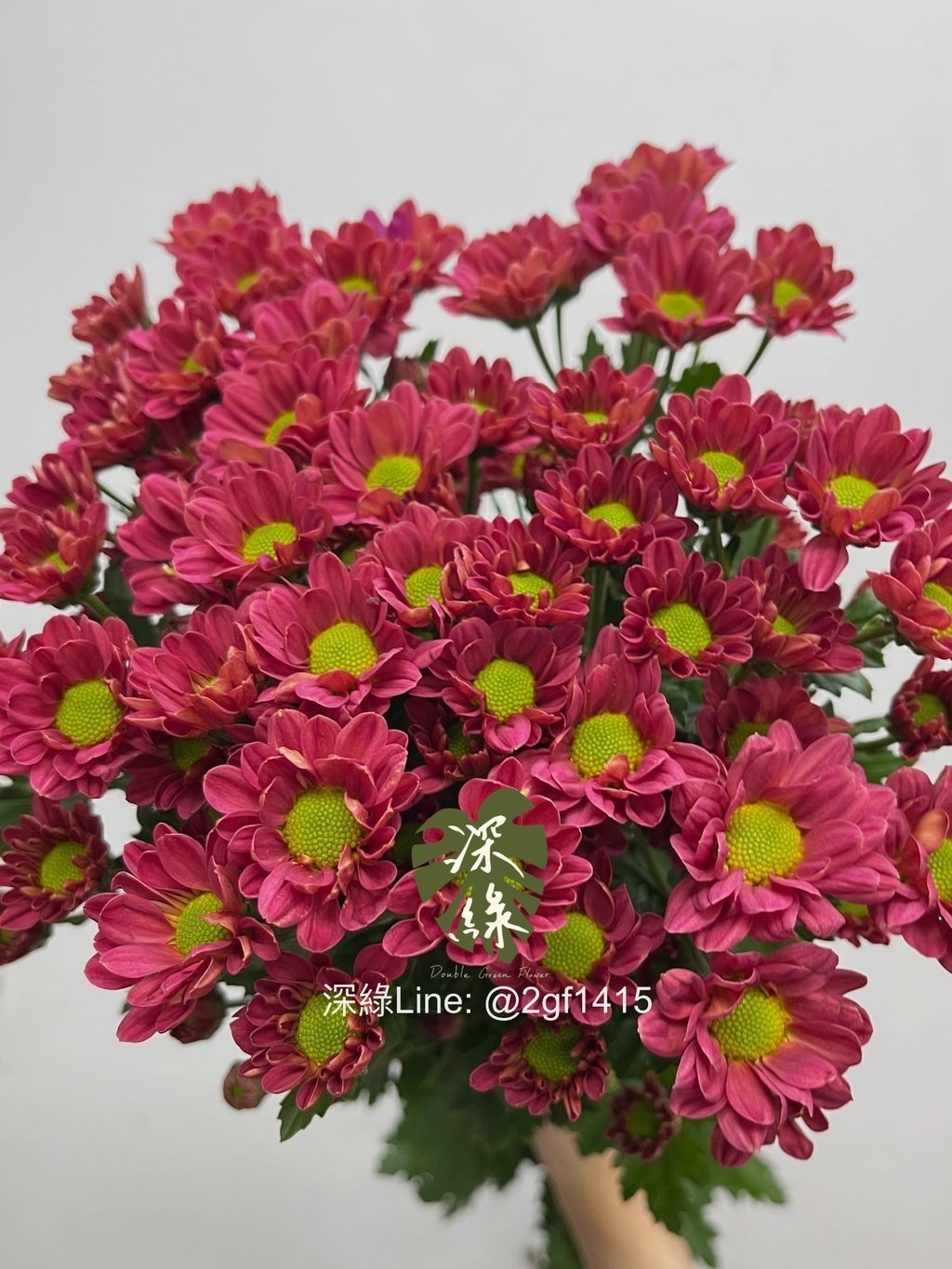 IMG_1632-1735191011806