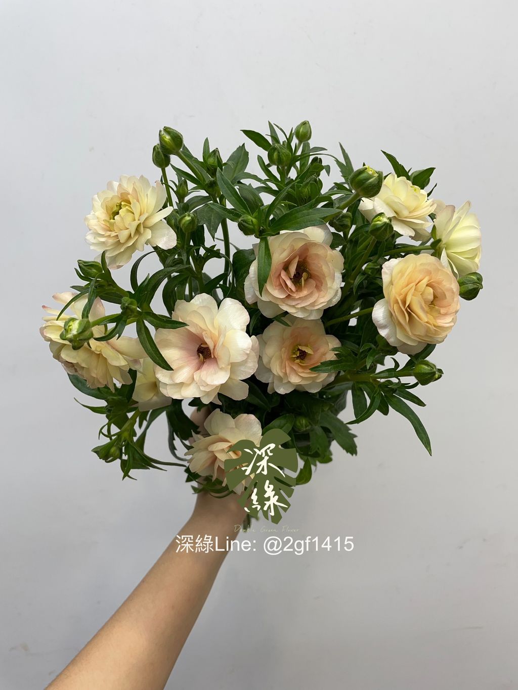 eZy Watermark_27-12-2024_12-26-06-4840下午-1735273690962