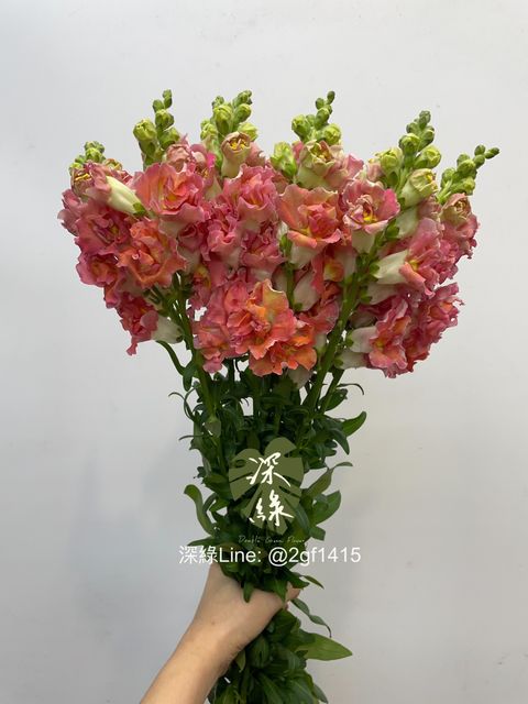 eZy Watermark_27-12-2024_12-26-05-2400下午-1735273783794