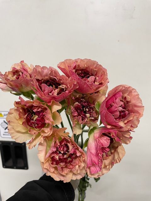 AA13FC0A-3F93-41E6-A5DC-510C05A40416