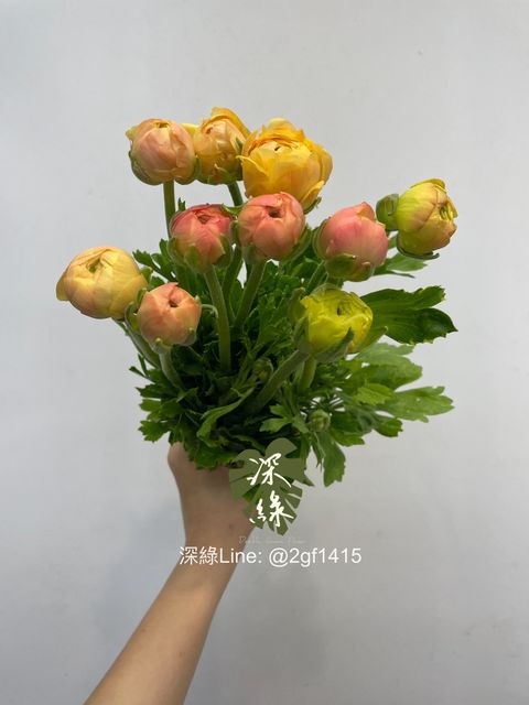 eZy Watermark_30-12-2024_01-00-27-4870下午-1735534924706