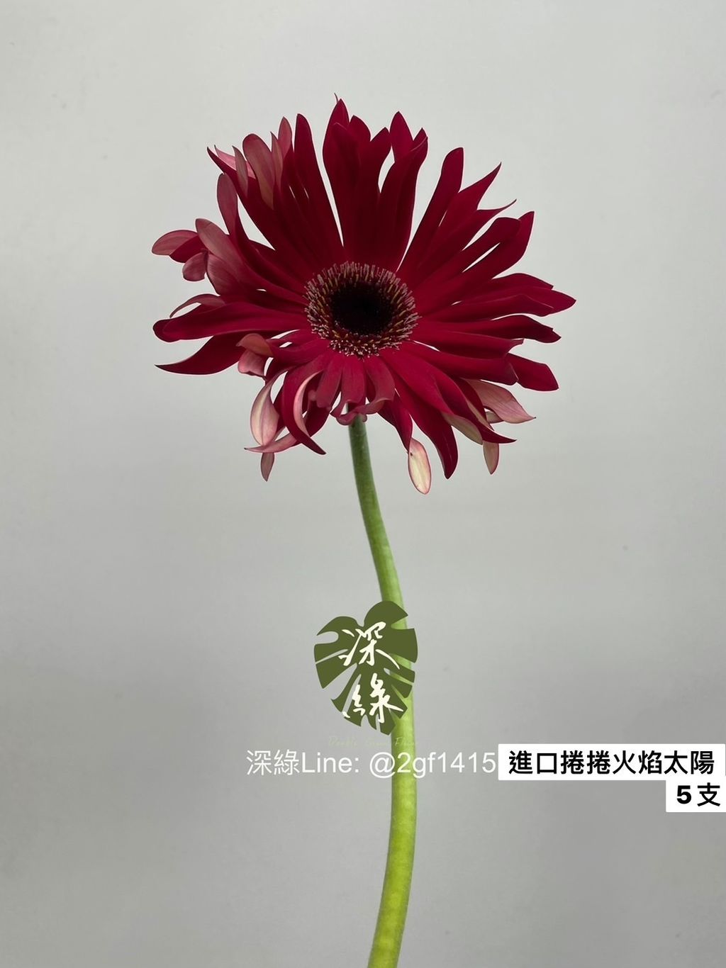 S__26837038