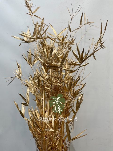 eZy Watermark_31-12-2024_12-41-01-4960下午-1735620216712