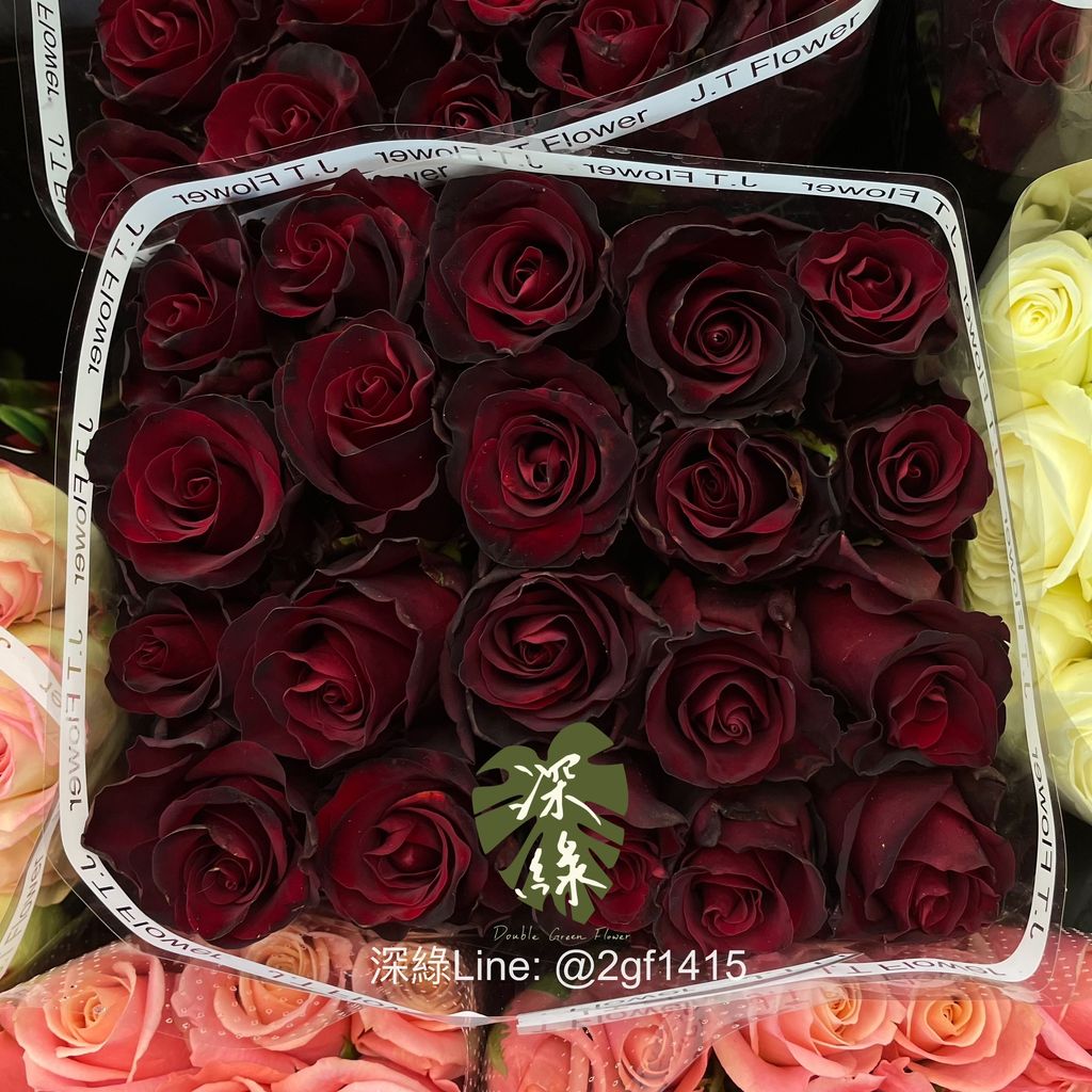 eZy Watermark_03-01-2025_09-25-38-3480上午-1735867546347