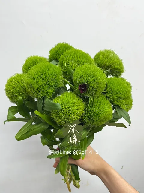 eZy Watermark_04-01-2025_07-25-08-4810上午-1735946719367