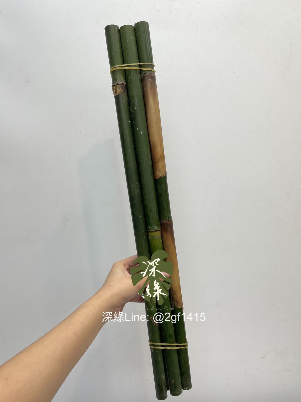 eZy Watermark_31-12-2024_12-41-02-2640下午-1735620110910