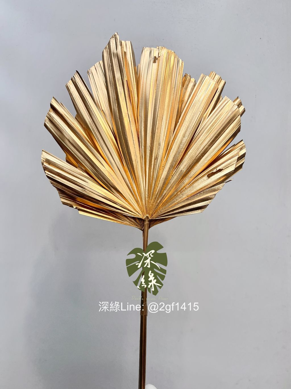 eZy Watermark_04-01-2025_08-31-37-5340上午-1735951980858