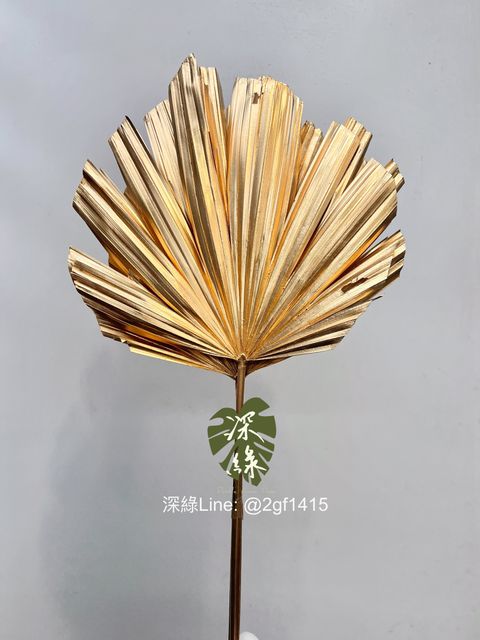 eZy Watermark_04-01-2025_08-31-37-5340上午-1735951980858