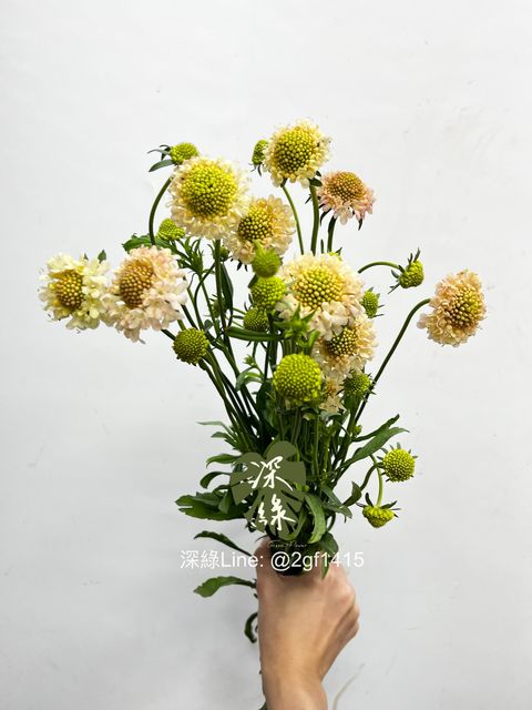 eZy Watermark_04-01-2025_10-15-38-4020上午-1735956988540