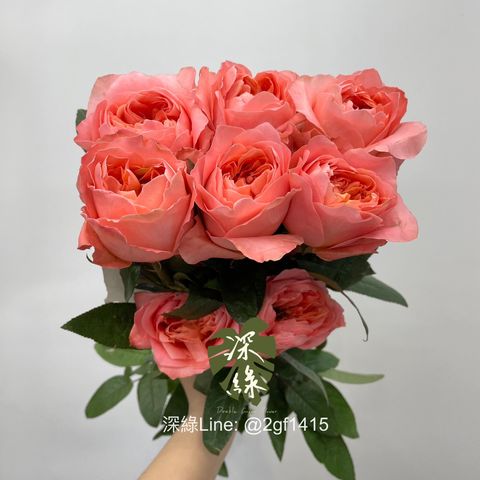 S__5644387