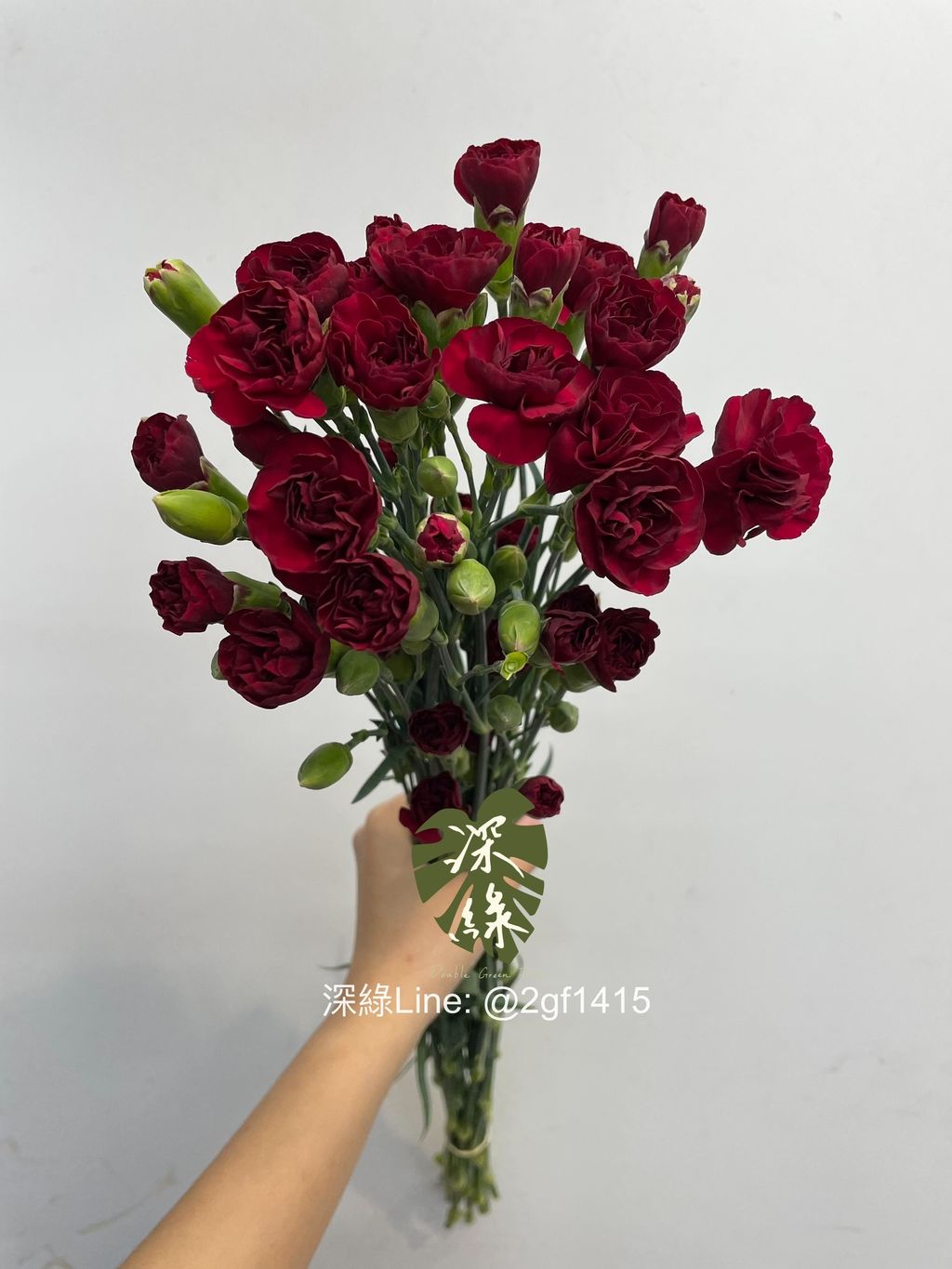 eZy Watermark_16-12-2024_01-14-18-3070下午-1734326206169