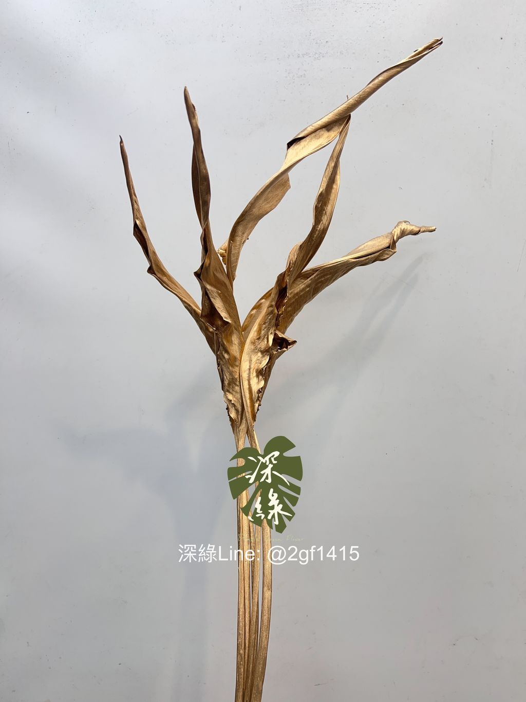 eZy Watermark_04-01-2025_08-31-37-9060上午-1735976092423