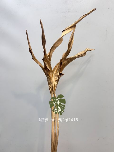 eZy Watermark_04-01-2025_08-31-37-9060上午-1735976092423