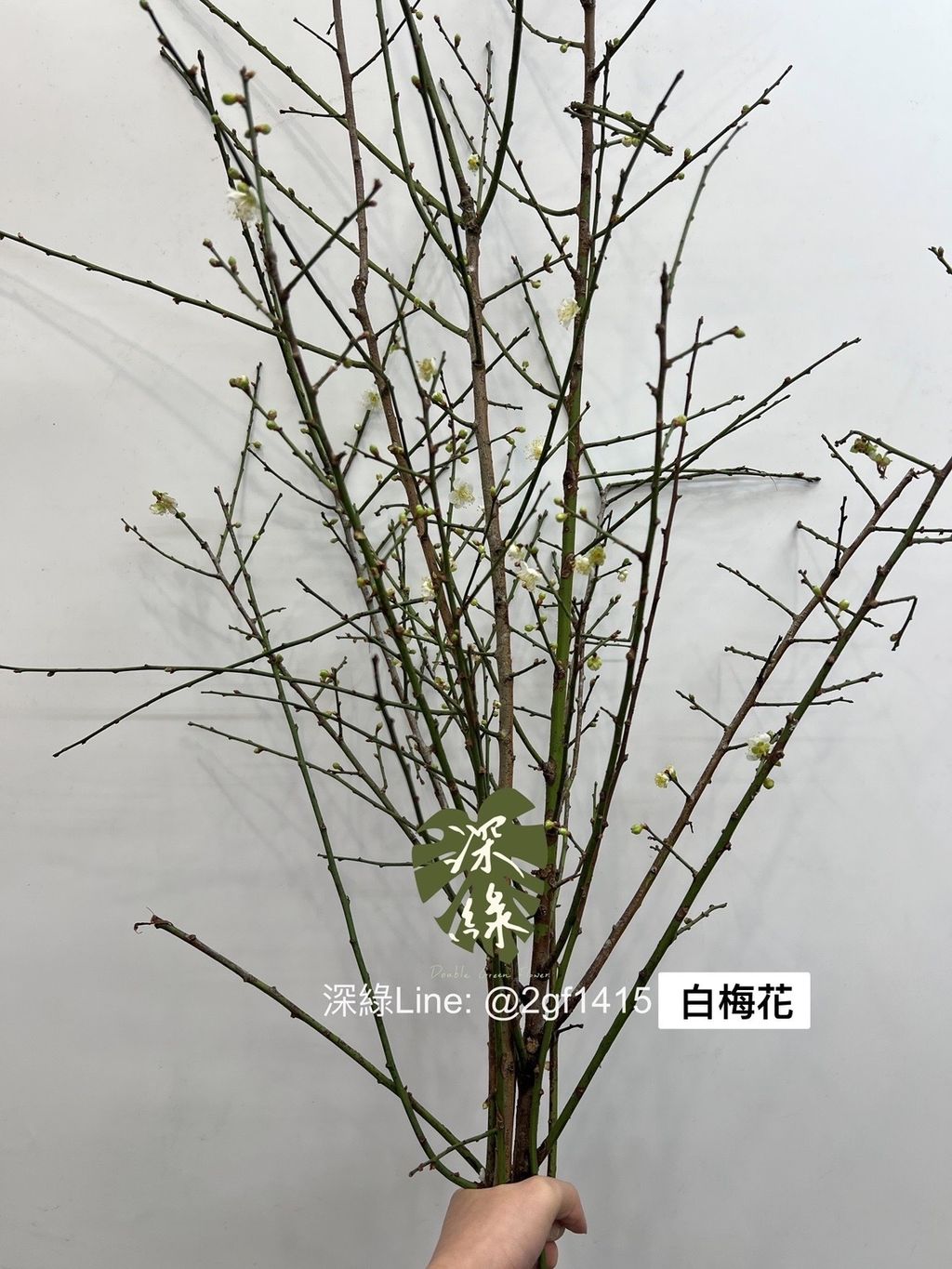 9C7091BB-8D6A-4884-8CAB-0E626916273D