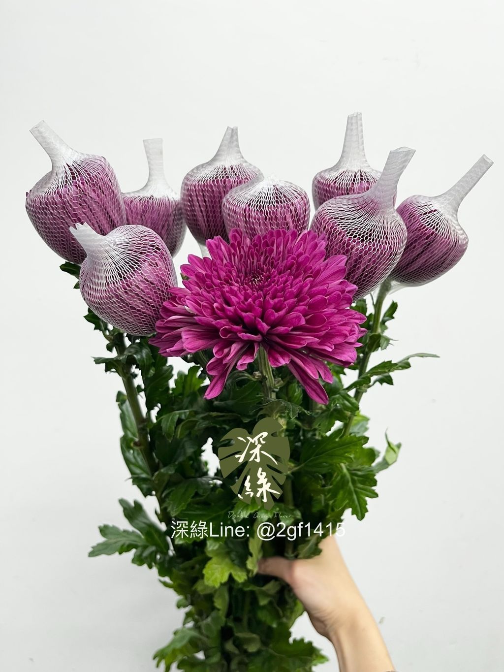 IMG_1790-1736139430814