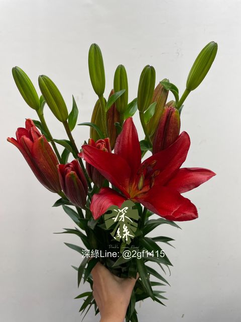 eZy Watermark_07-01-2025_12-21-47-5540下午-1736223843073