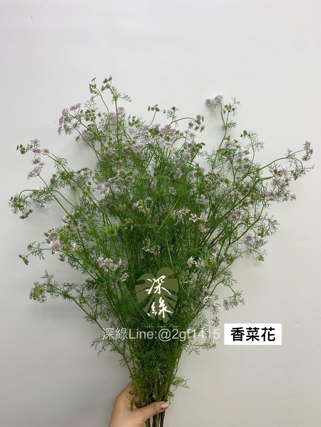 IMG_3412-1708036352010