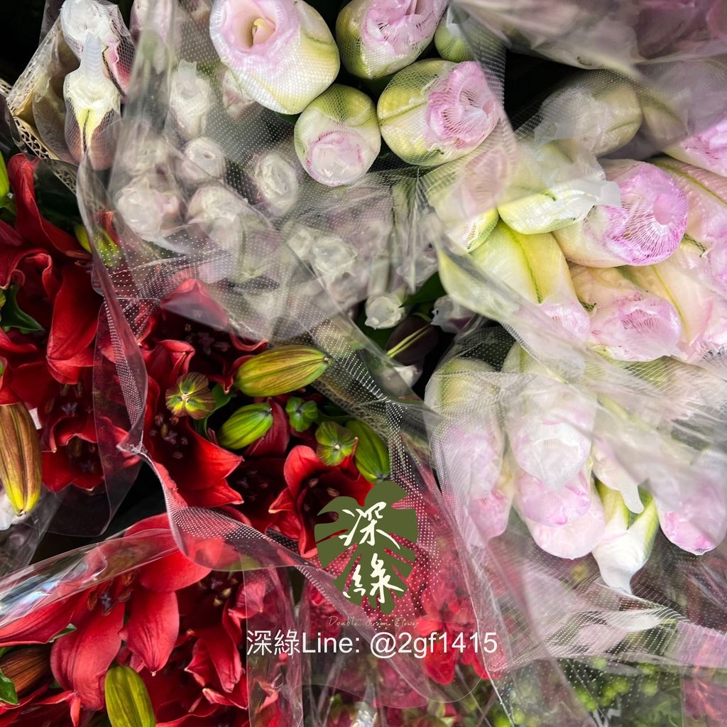 eZy Watermark_10-01-2025_11-58-56-6530上午-1736481549318