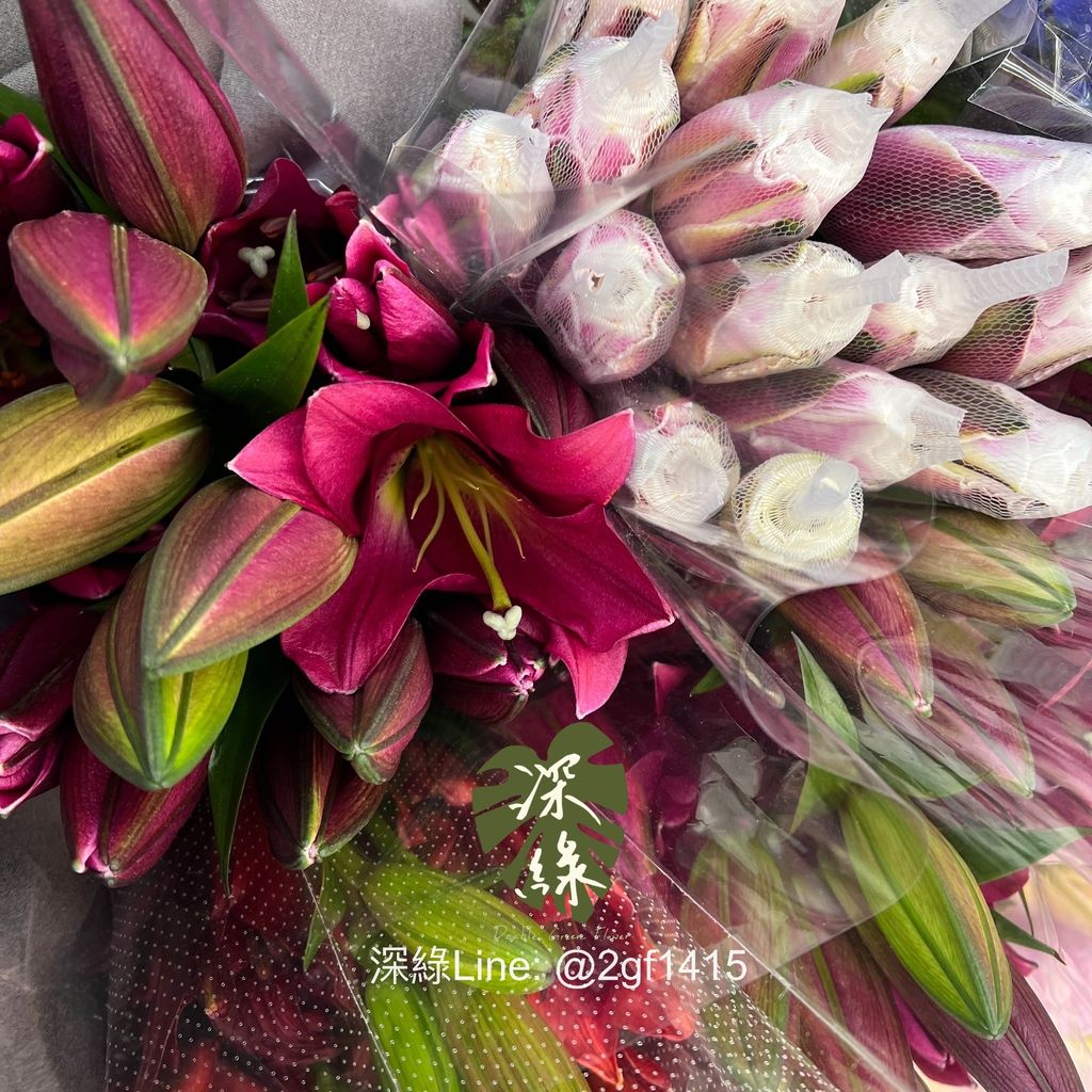 eZy Watermark_10-01-2025_11-58-56-3100上午-1736481549320