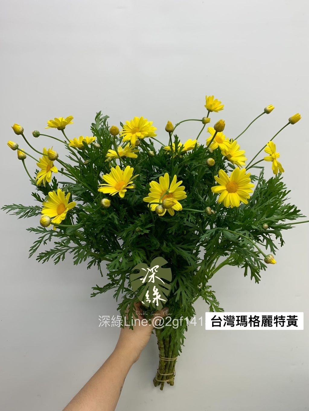 5716E0A0-85EF-4DB4-A81B-37204EF9D237