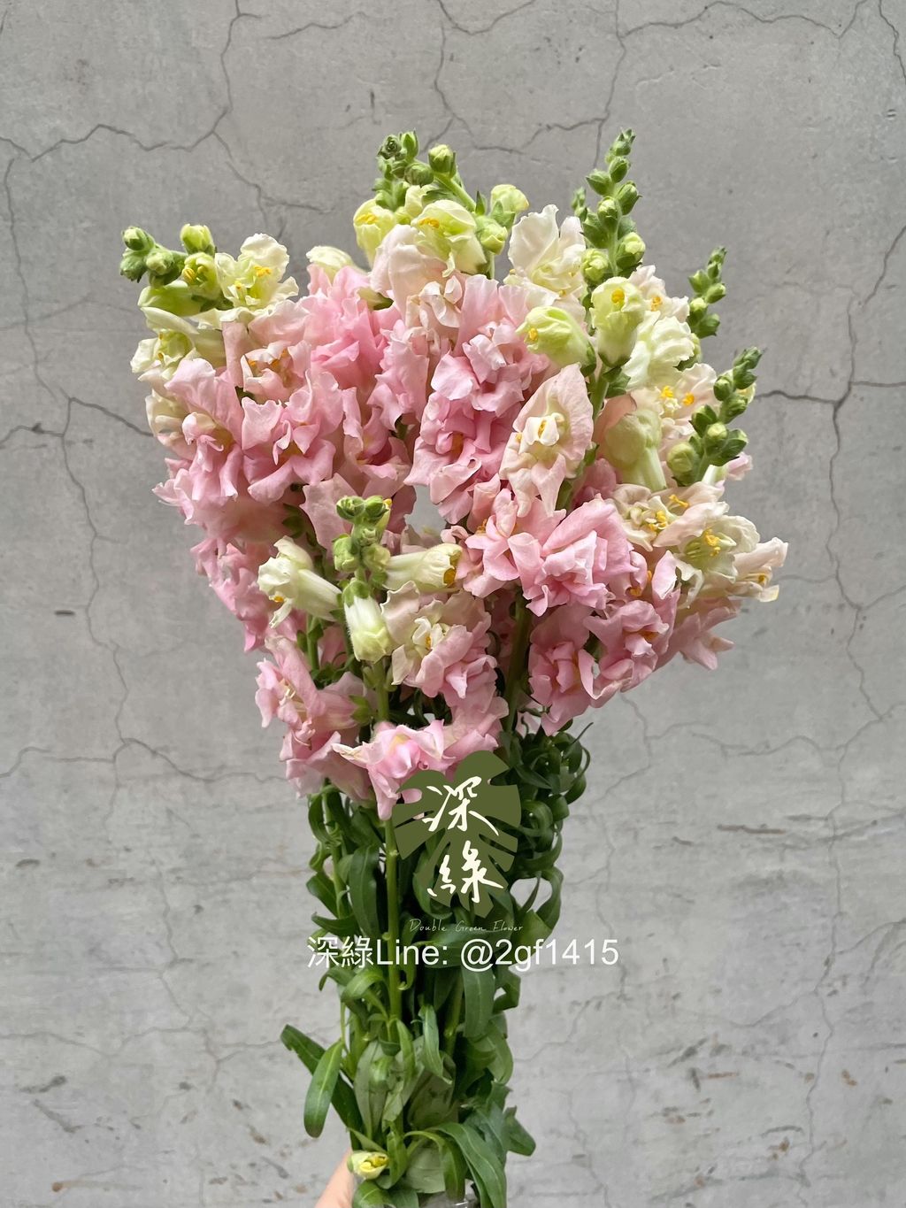 eZy Watermark_14-12-2024_08-40-17-5470上午-1734136834802