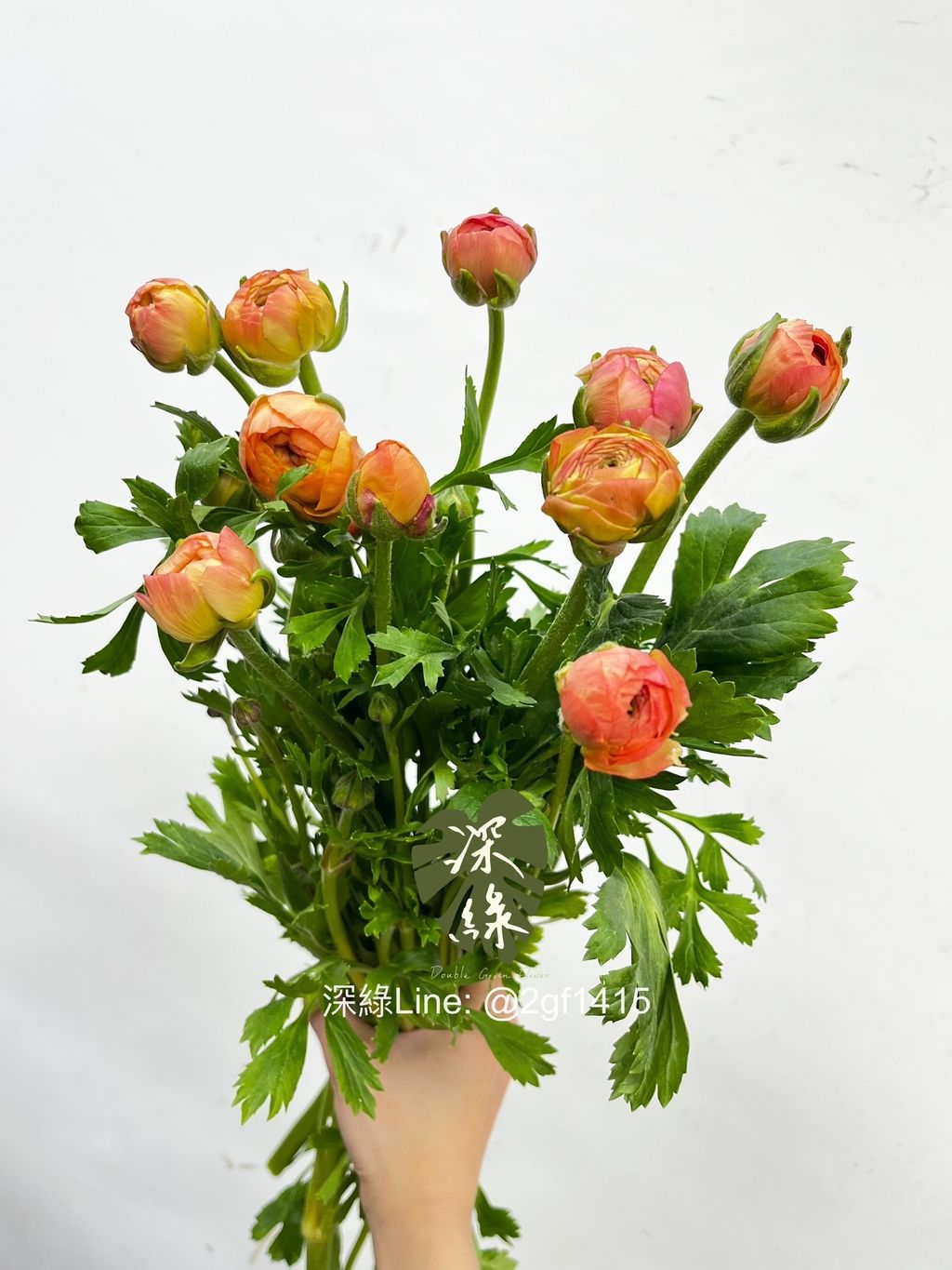 IMG_2332-1736311755842