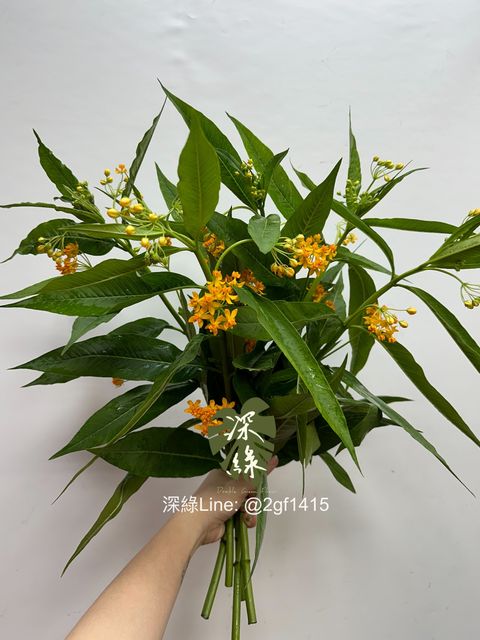 eZy Watermark_13-01-2025_12-56-32-4430下午-1736744961706