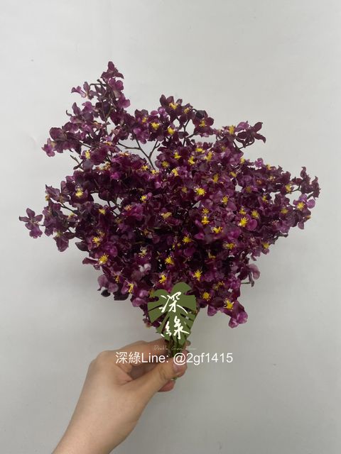 eZy Watermark_14-01-2025_08-59-51-0850上午-1736816456063