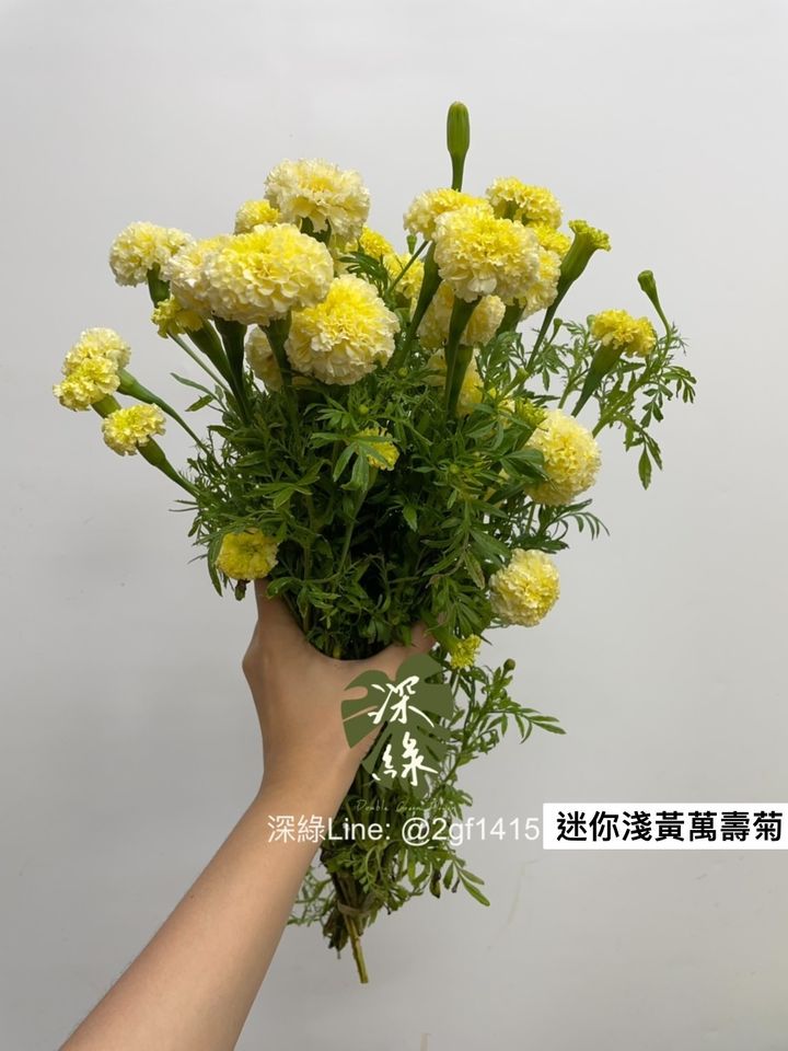 S__2932777