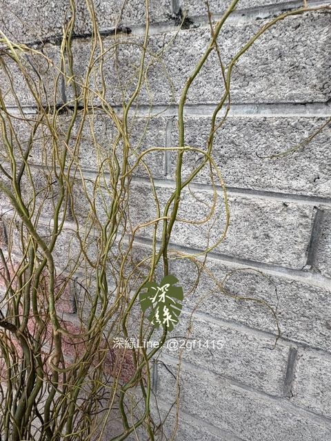 eZy Watermark_05-12-2024_12-26-21-5040上午-1733739333679