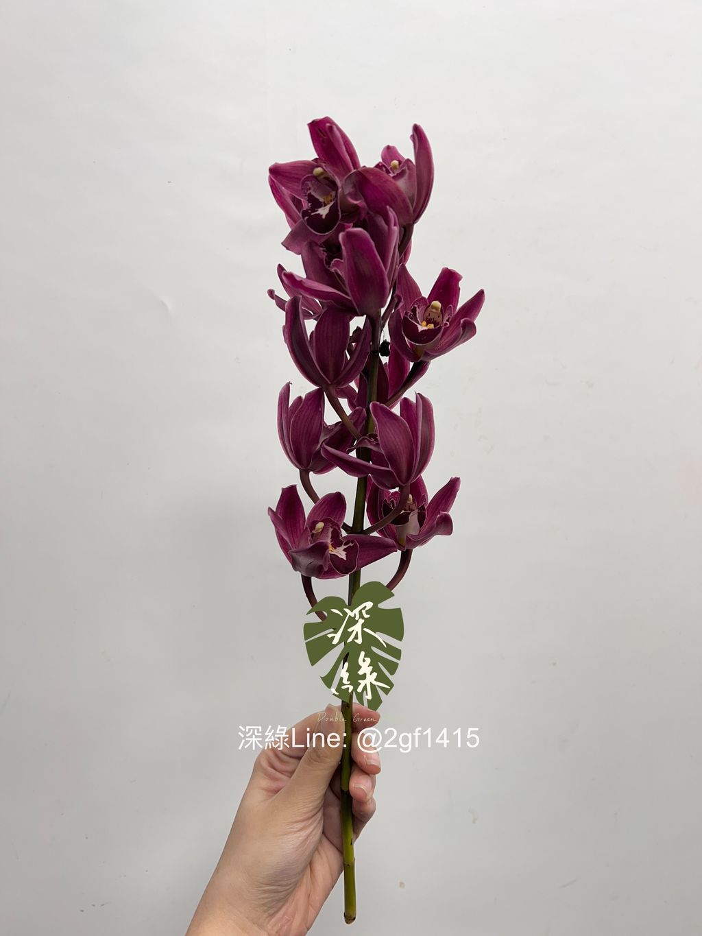 eZy Watermark_16-01-2025_12-11-24-9620下午-1737086309449