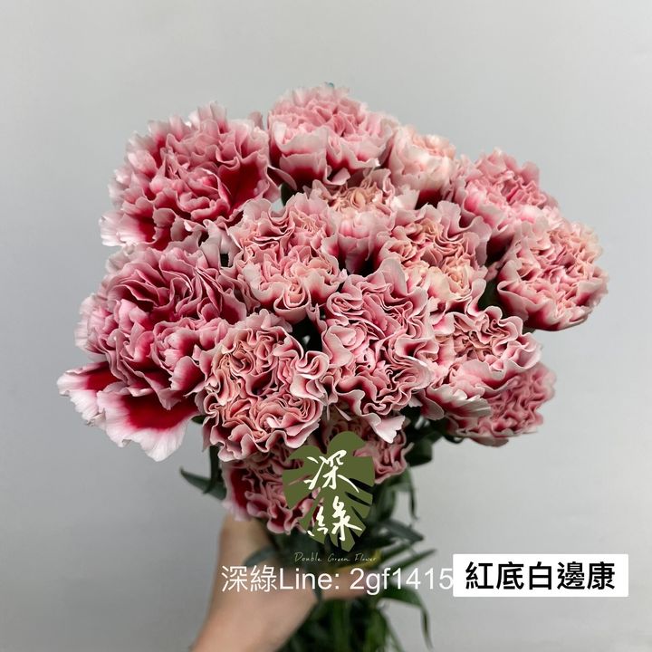 85c15219df5d36c601b72716ee3e1c859af89b6f