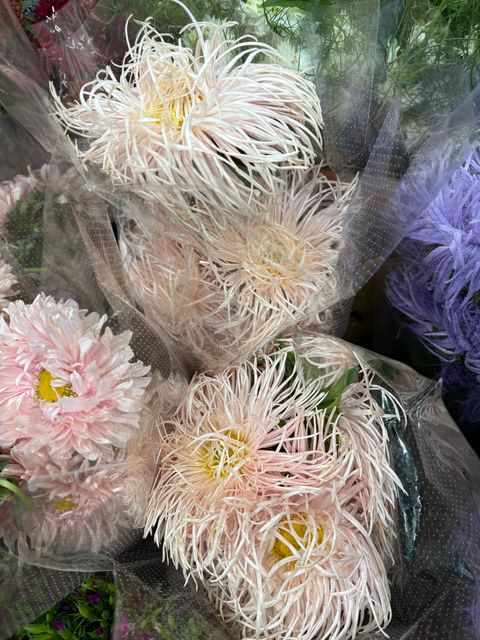 IMG_2024-1737368293951