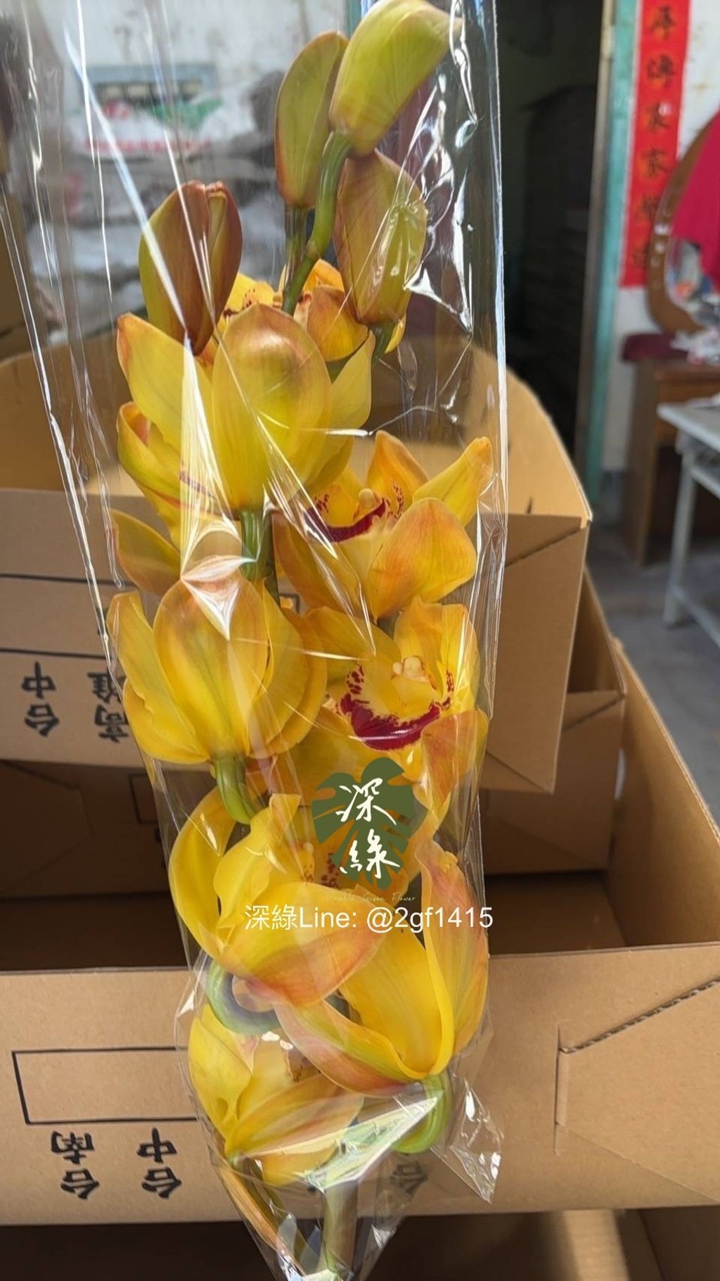 eZy Watermark_21-01-2025_01-31-13-0160下午-1737437498660