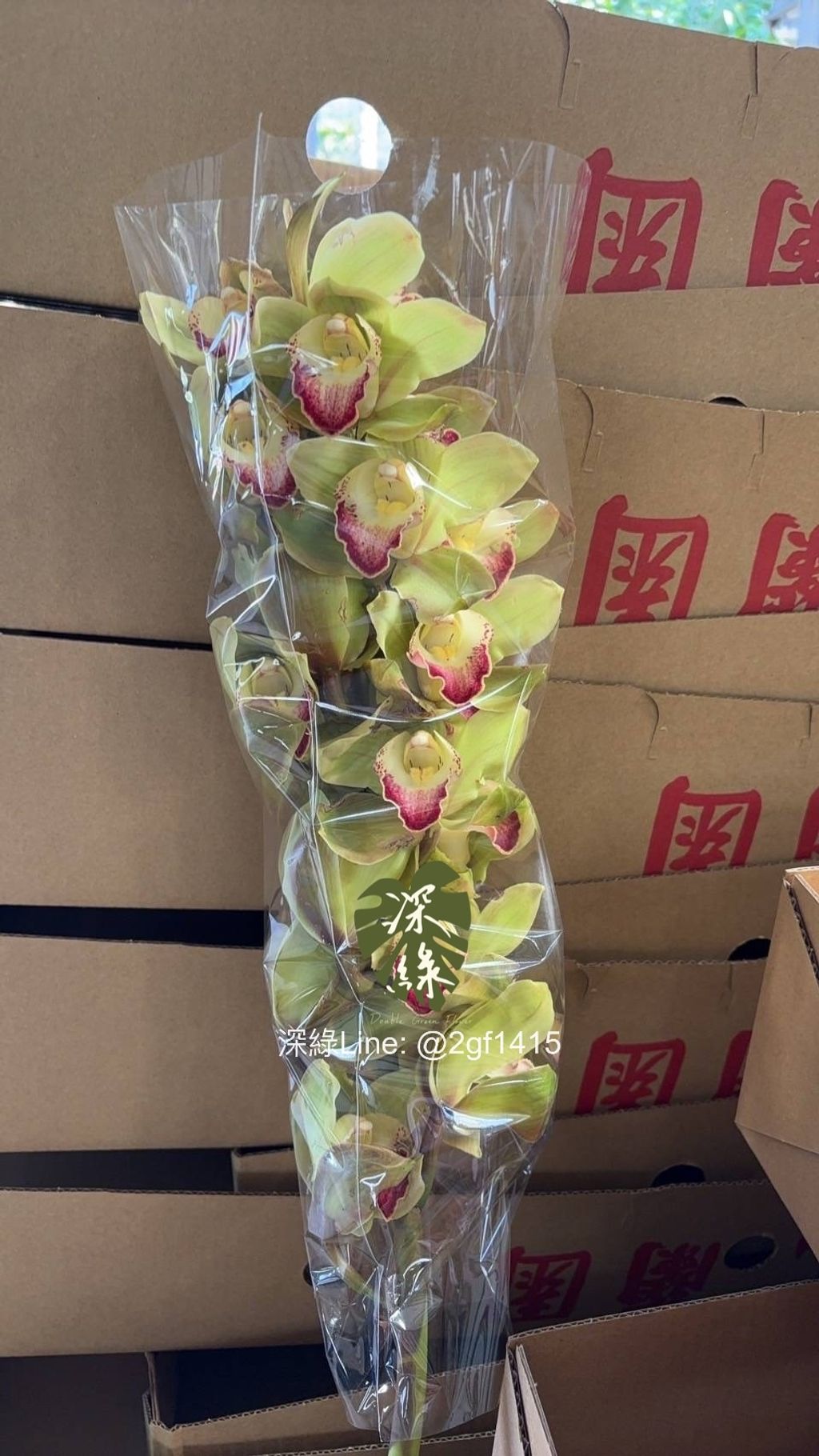 eZy Watermark_21-01-2025_01-31-13-3220下午-1737437516867